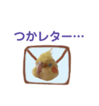 うちのカワイイちびっこたちPart9（個別スタンプ：3）