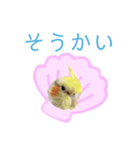 うちのカワイイちびっこたちPart9（個別スタンプ：6）