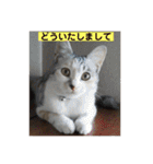 永遠のおんにゃのこ☆みゆう④（個別スタンプ：2）