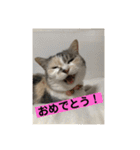 永遠のおんにゃのこ☆みゆう④（個別スタンプ：3）