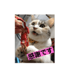 永遠のおんにゃのこ☆みゆう④（個別スタンプ：5）