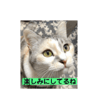 永遠のおんにゃのこ☆みゆう④（個別スタンプ：7）