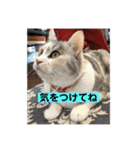 永遠のおんにゃのこ☆みゆう④（個別スタンプ：8）