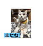 永遠のおんにゃのこ☆みゆう④（個別スタンプ：9）