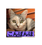 永遠のおんにゃのこ☆みゆう④（個別スタンプ：10）