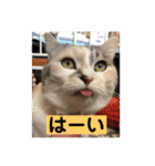 永遠のおんにゃのこ☆みゆう④（個別スタンプ：11）