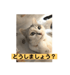永遠のおんにゃのこ☆みゆう④（個別スタンプ：12）
