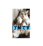 永遠のおんにゃのこ☆みゆう④（個別スタンプ：13）