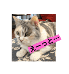 永遠のおんにゃのこ☆みゆう④（個別スタンプ：14）
