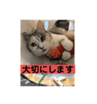 永遠のおんにゃのこ☆みゆう④（個別スタンプ：15）