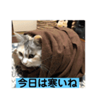 永遠のおんにゃのこ☆みゆう④（個別スタンプ：17）