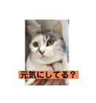 永遠のおんにゃのこ☆みゆう④（個別スタンプ：18）