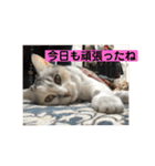 永遠のおんにゃのこ☆みゆう④（個別スタンプ：19）
