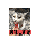 永遠のおんにゃのこ☆みゆう④（個別スタンプ：21）