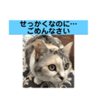 永遠のおんにゃのこ☆みゆう④（個別スタンプ：22）