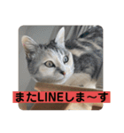 永遠のおんにゃのこ☆みゆう④（個別スタンプ：23）