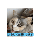 永遠のおんにゃのこ☆みゆう④（個別スタンプ：24）