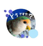 モミポ日和 2（個別スタンプ：2）