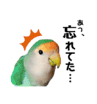 モミポ日和 2（個別スタンプ：3）