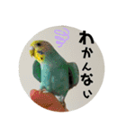 モミポ日和 2（個別スタンプ：4）