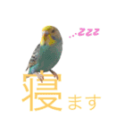 モミポ日和 2（個別スタンプ：8）