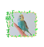 モミポ日和 2（個別スタンプ：9）