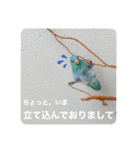 モミポ日和 2（個別スタンプ：12）