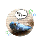 モミポ日和 2（個別スタンプ：14）