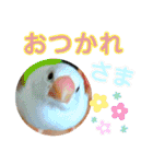 モミポ日和 2（個別スタンプ：21）