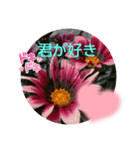 君に使って欲しい（個別スタンプ：7）