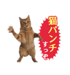 石川県民の猫スタンプ（個別スタンプ：35）