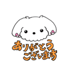 マルチーズ犬の日常のスタンプ（個別スタンプ：4）