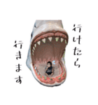 るいくんの優しい日常スタンプ〜8ヶ月（個別スタンプ：29）