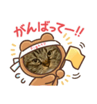 短足マンチカンのクリスタちゃん♀10（個別スタンプ：8）