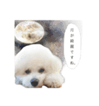 私のこどもたちさん（個別スタンプ：6）