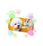 私のこどもたちさん（個別スタンプ：8）
