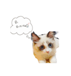 私のこどもたちさん（個別スタンプ：13）