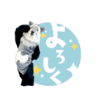 カモシカnet 三太 リアル三太（個別スタンプ：2）