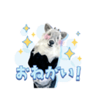 カモシカnet 三太 リアル三太（個別スタンプ：3）