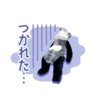 カモシカnet 三太 リアル三太（個別スタンプ：10）