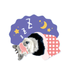 カモシカnet 三太 リアル三太（個別スタンプ：13）