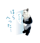 カモシカnet 三太 リアル三太（個別スタンプ：20）