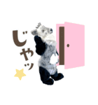 カモシカnet 三太 リアル三太（個別スタンプ：24）
