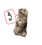 何で？（個別スタンプ：1）