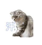 何で？（個別スタンプ：13）