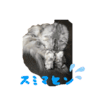 何で？（個別スタンプ：14）