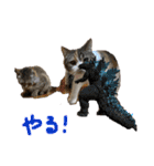 何で？（個別スタンプ：19）