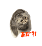 何で？（個別スタンプ：22）