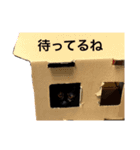 テンちゃんスタンプ5（個別スタンプ：11）