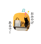 テンちゃんスタンプ5（個別スタンプ：15）